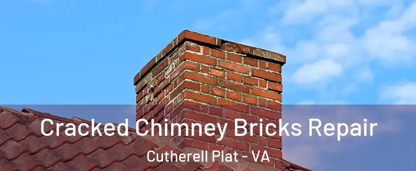 Cracked Chimney Bricks Repair Cutherell Plat - VA