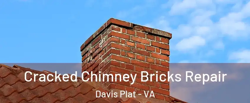 Cracked Chimney Bricks Repair Davis Plat - VA