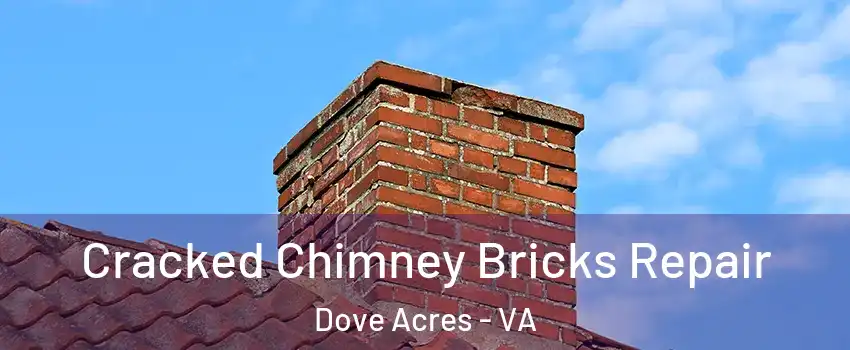 Cracked Chimney Bricks Repair Dove Acres - VA