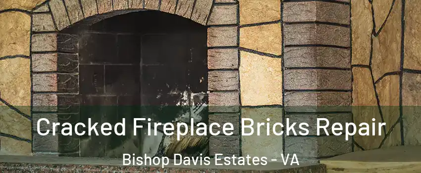 Cracked Fireplace Bricks Repair Bishop Davis Estates - VA