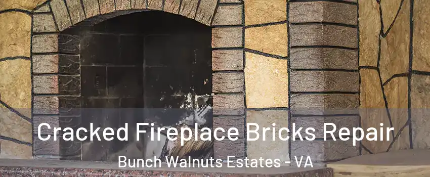Cracked Fireplace Bricks Repair Bunch Walnuts Estates - VA