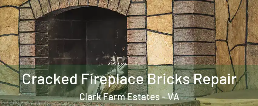 Cracked Fireplace Bricks Repair Clark Farm Estates - VA
