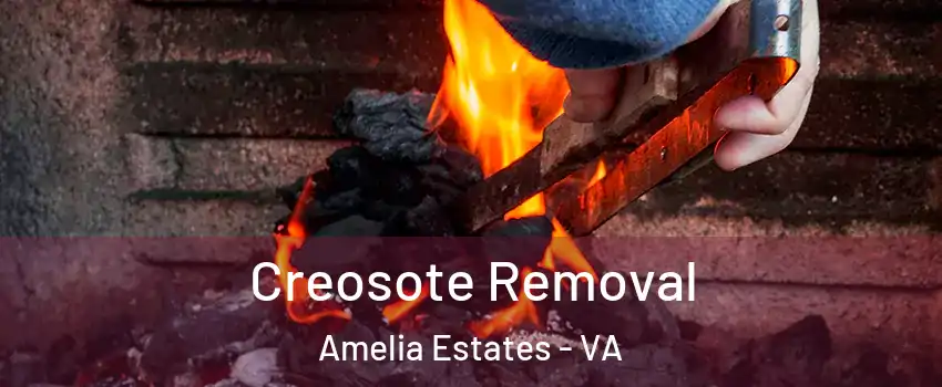 Creosote Removal Amelia Estates - VA
