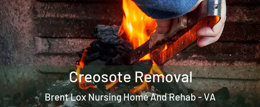Creosote Removal Brent Lox Nursing Home And Rehab - VA