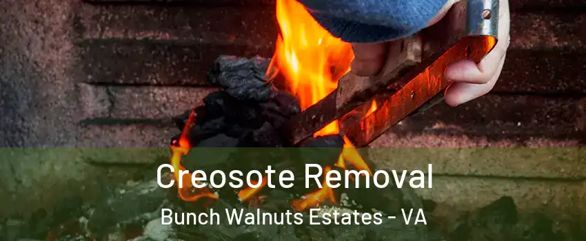 Creosote Removal Bunch Walnuts Estates - VA
