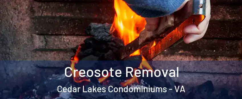 Creosote Removal Cedar Lakes Condominiums - VA