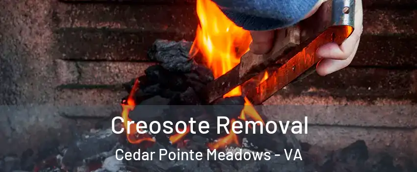Creosote Removal Cedar Pointe Meadows - VA