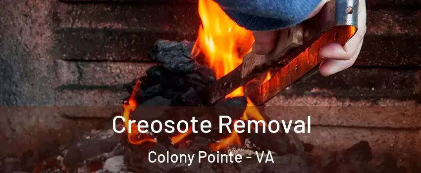 Creosote Removal Colony Pointe - VA