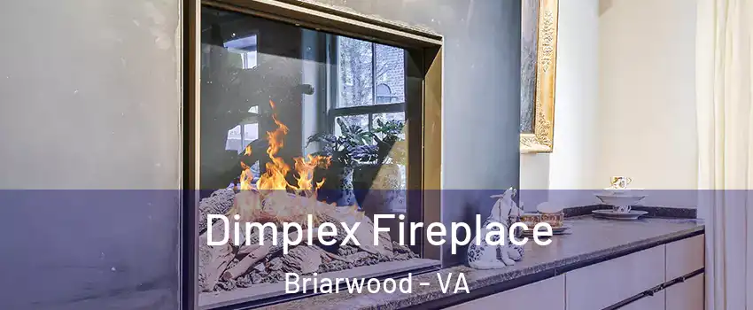 Dimplex Fireplace Briarwood - VA