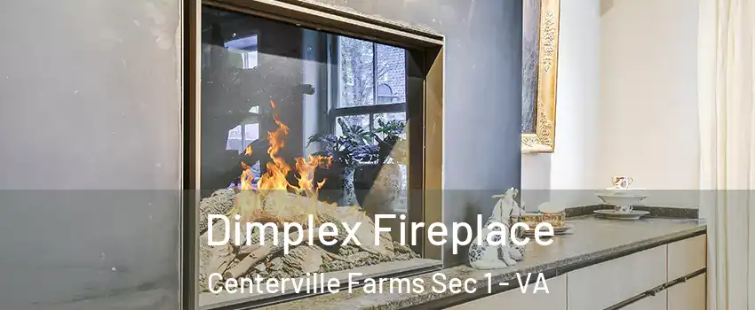 Dimplex Fireplace Centerville Farms Sec 1 - VA