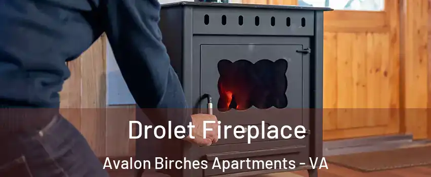 Drolet Fireplace Avalon Birches Apartments - VA