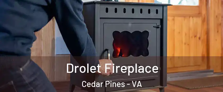 Drolet Fireplace Cedar Pines - VA
