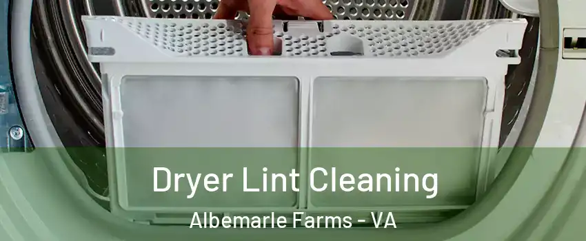 Dryer Lint Cleaning Albemarle Farms - VA