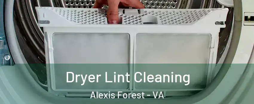Dryer Lint Cleaning Alexis Forest - VA