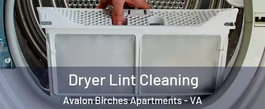 Dryer Lint Cleaning Avalon Birches Apartments - VA
