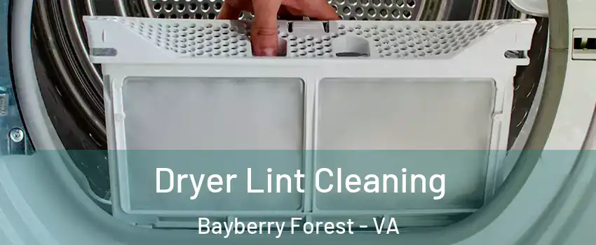 Dryer Lint Cleaning Bayberry Forest - VA