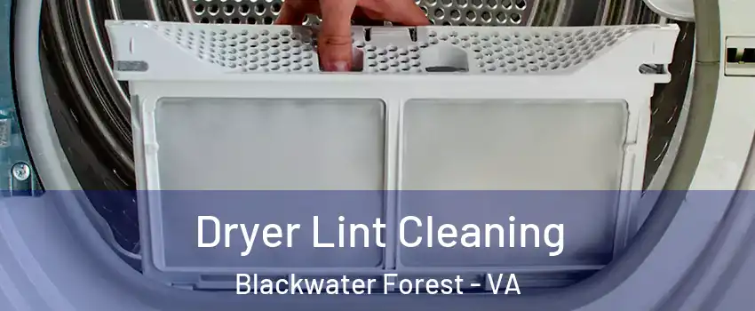 Dryer Lint Cleaning Blackwater Forest - VA