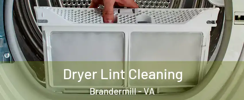 Dryer Lint Cleaning Brandermill - VA