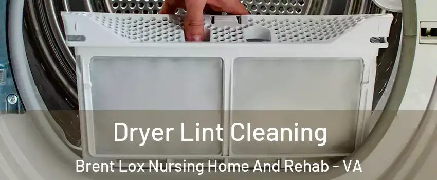 Dryer Lint Cleaning Brent Lox Nursing Home And Rehab - VA