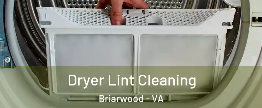 Dryer Lint Cleaning Briarwood - VA