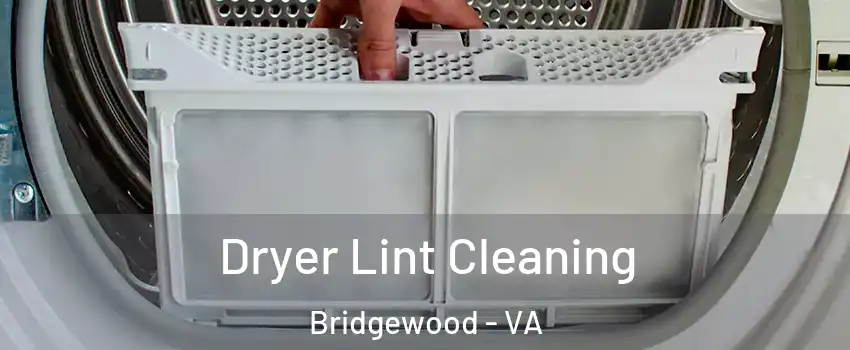 Dryer Lint Cleaning Bridgewood - VA