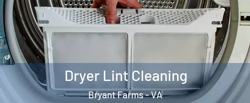Dryer Lint Cleaning Bryant Farms - VA