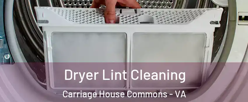 Dryer Lint Cleaning Carriage House Commons - VA