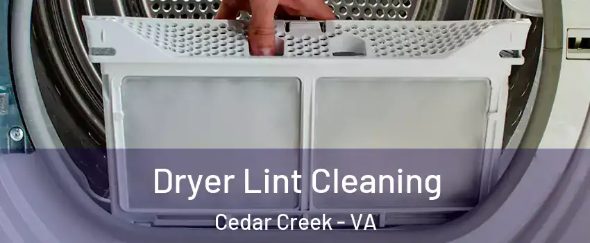 Dryer Lint Cleaning Cedar Creek - VA