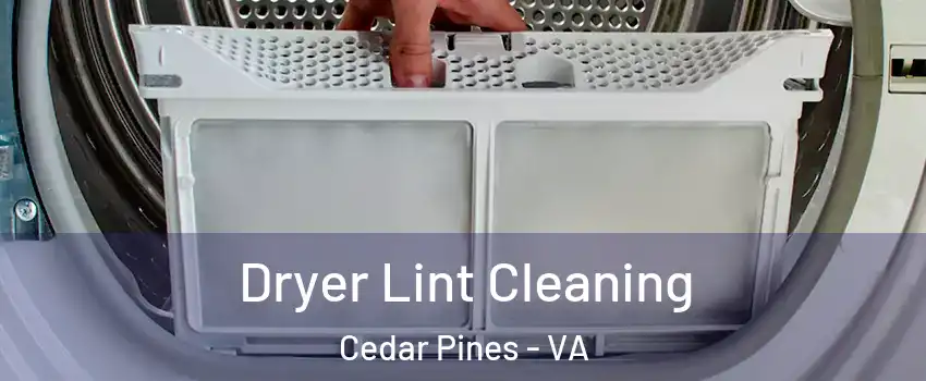 Dryer Lint Cleaning Cedar Pines - VA