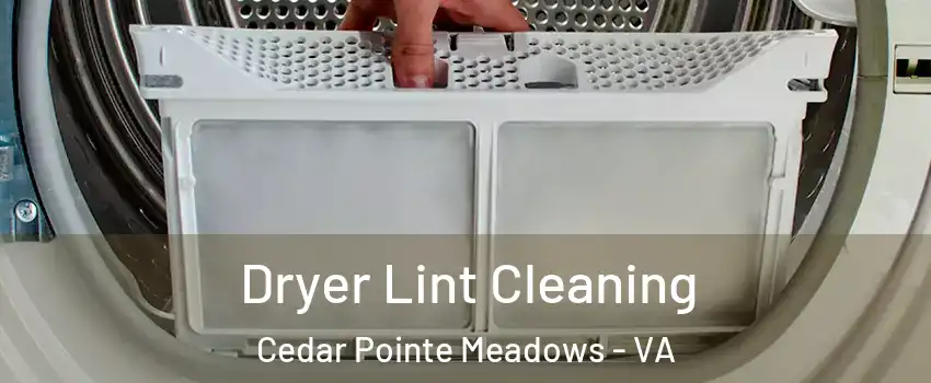 Dryer Lint Cleaning Cedar Pointe Meadows - VA