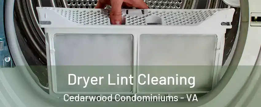 Dryer Lint Cleaning Cedarwood Condominiums - VA
