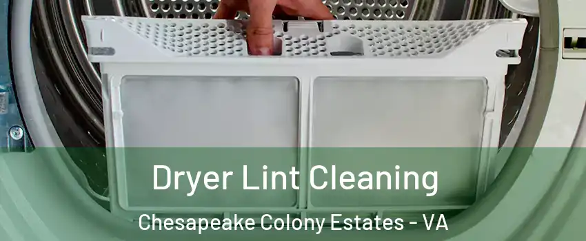 Dryer Lint Cleaning Chesapeake Colony Estates - VA