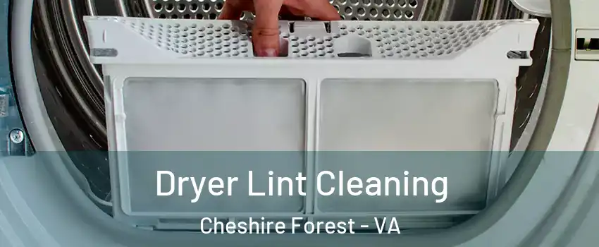 Dryer Lint Cleaning Cheshire Forest - VA