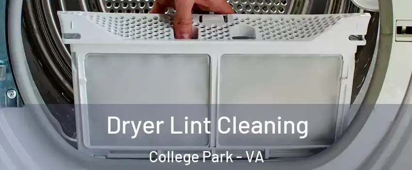 Dryer Lint Cleaning College Park - VA
