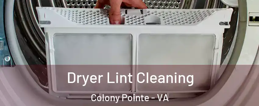 Dryer Lint Cleaning Colony Pointe - VA
