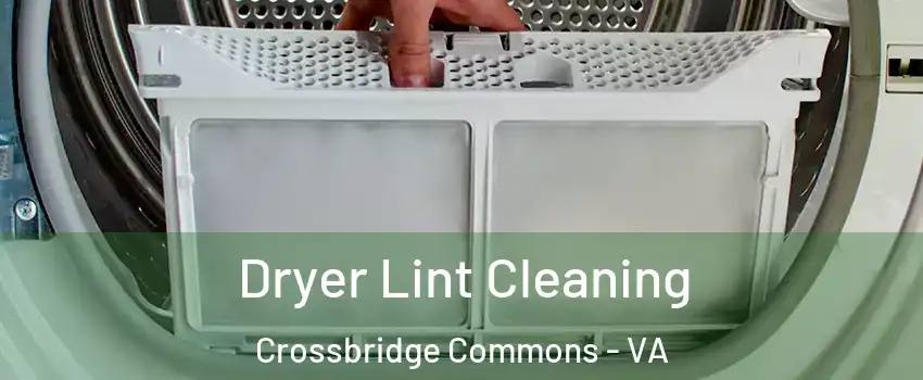 Dryer Lint Cleaning Crossbridge Commons - VA