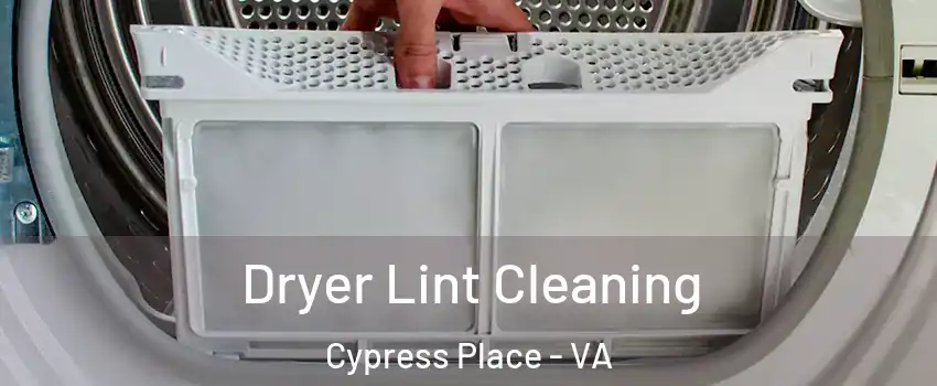 Dryer Lint Cleaning Cypress Place - VA