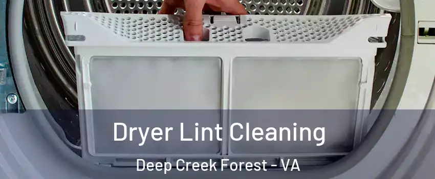Dryer Lint Cleaning Deep Creek Forest - VA
