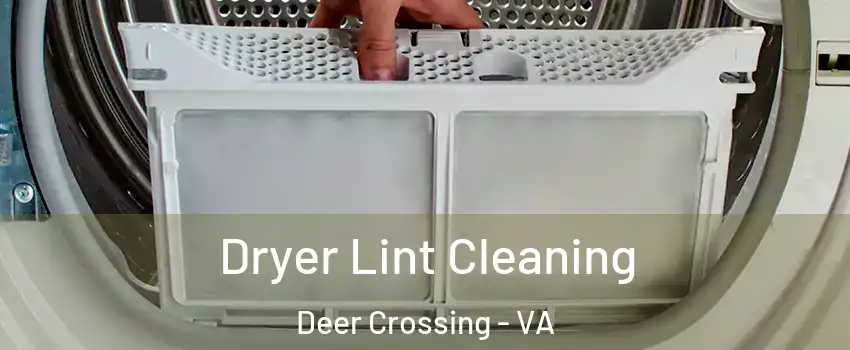 Dryer Lint Cleaning Deer Crossing - VA