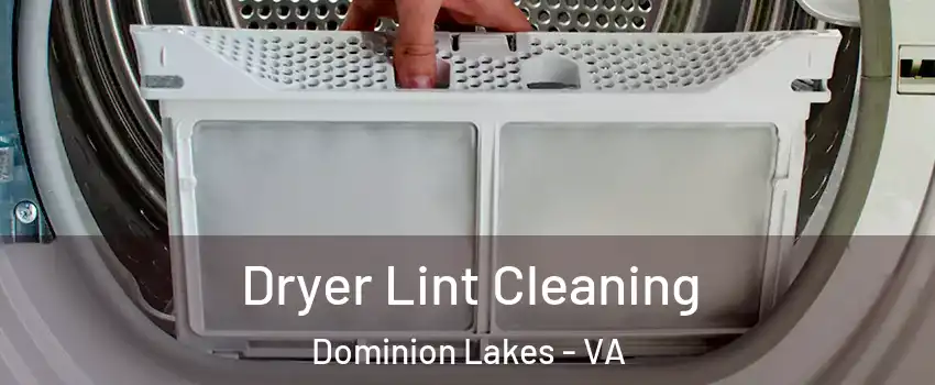 Dryer Lint Cleaning Dominion Lakes - VA
