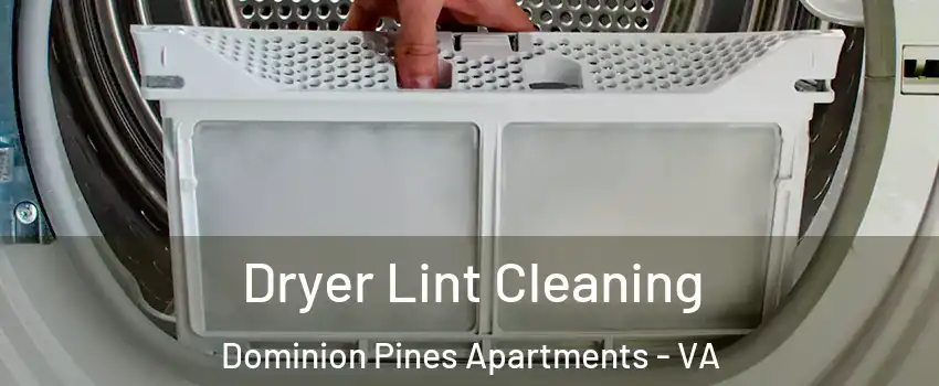 Dryer Lint Cleaning Dominion Pines Apartments - VA