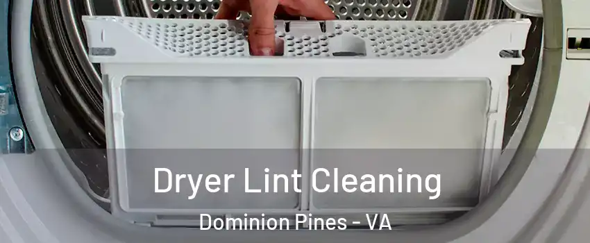 Dryer Lint Cleaning Dominion Pines - VA