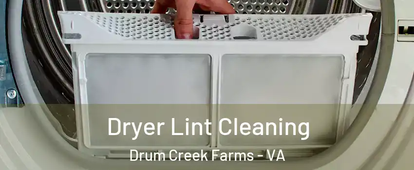 Dryer Lint Cleaning Drum Creek Farms - VA