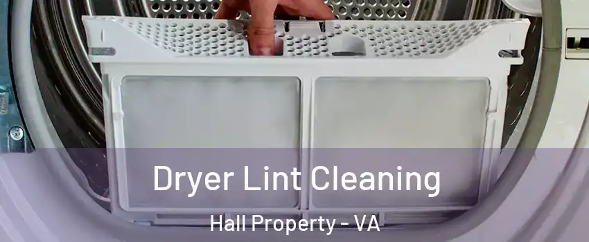 Dryer Lint Cleaning Hall Property - VA