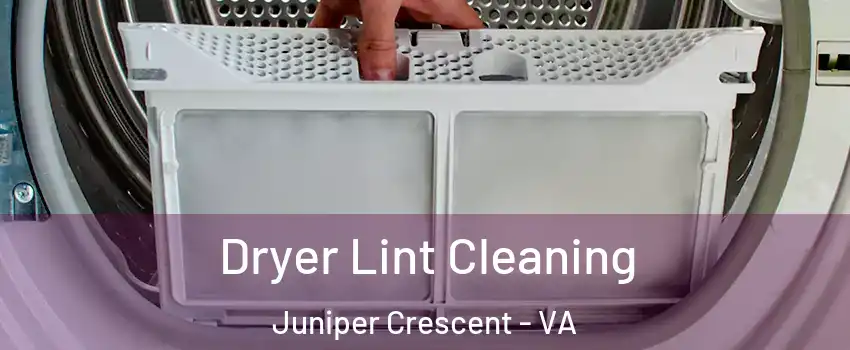 Dryer Lint Cleaning Juniper Crescent - VA