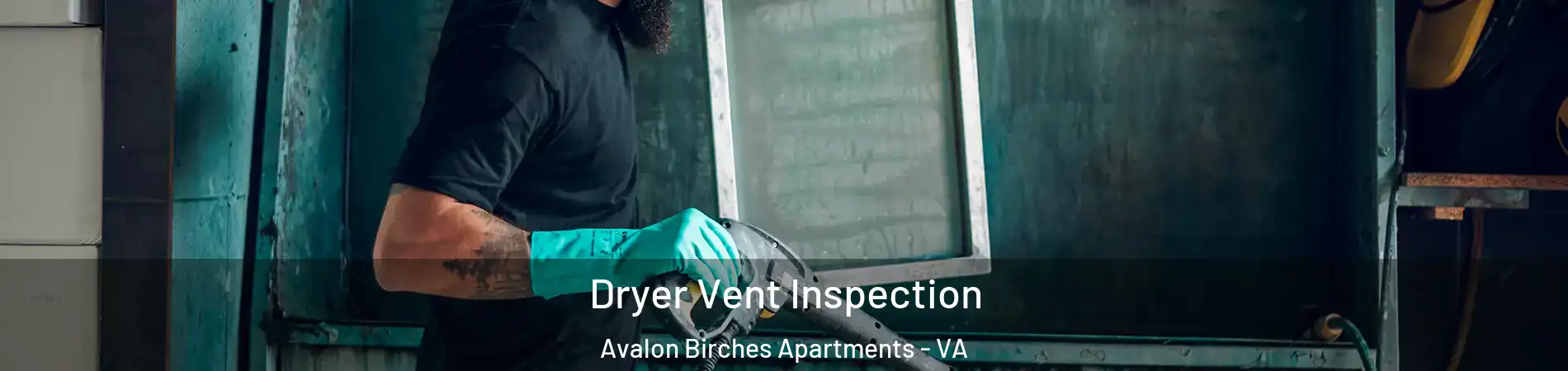 Dryer Vent Inspection Avalon Birches Apartments - VA