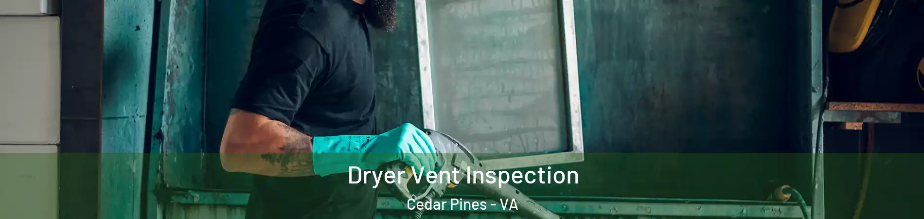 Dryer Vent Inspection Cedar Pines - VA