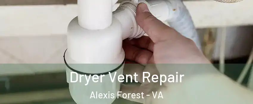 Dryer Vent Repair Alexis Forest - VA