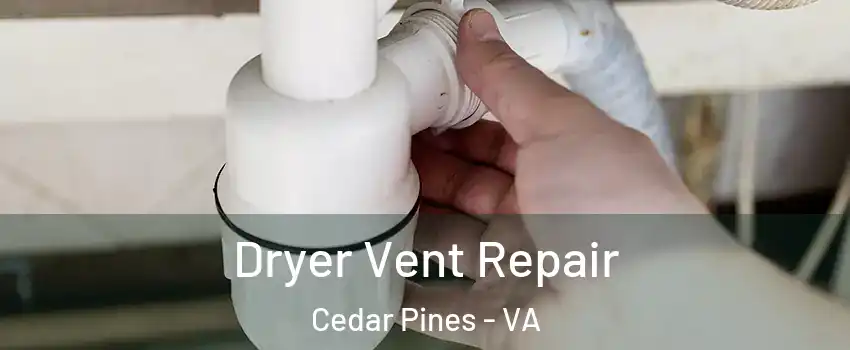 Dryer Vent Repair Cedar Pines - VA