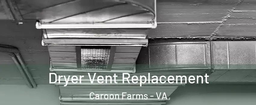 Dryer Vent Replacement Caroon Farms - VA